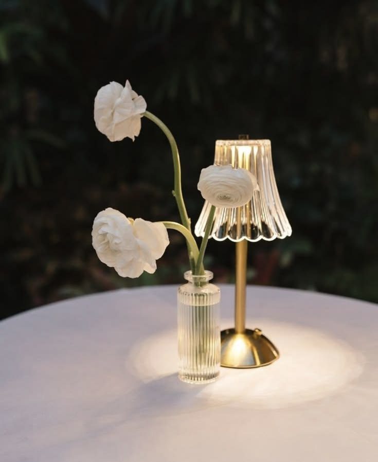 Cordless lamp with glass pleated shade